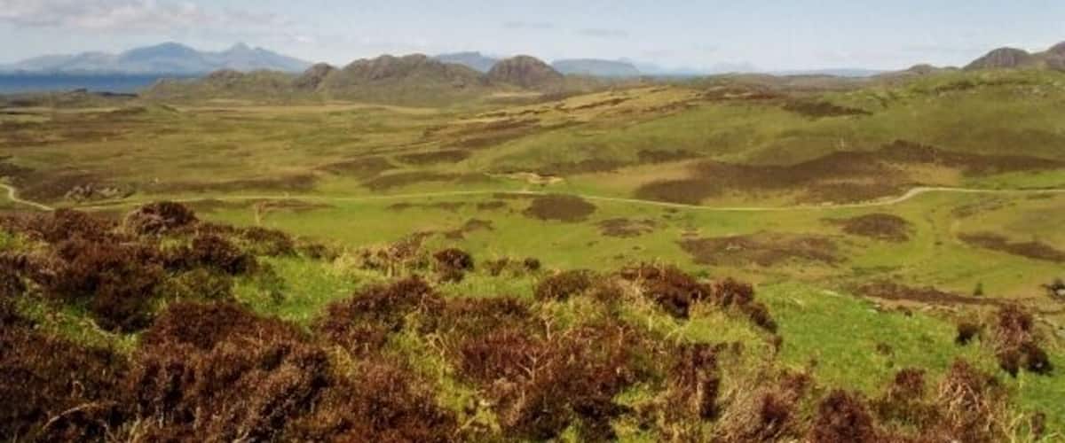 A rolling hilly landscape with a winding path and distant mountains.