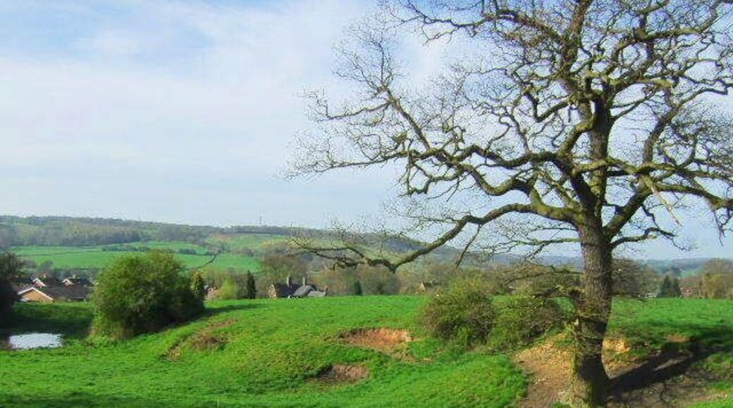 Small quarry This small quarry hole would have supplied clay to a nearby brickworks.