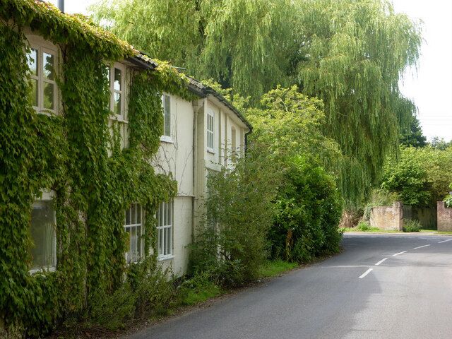 Cottages, The Street, Kettleburgh With the climbing plants and the large willow beyond, green is the dominant colour here in the summer.