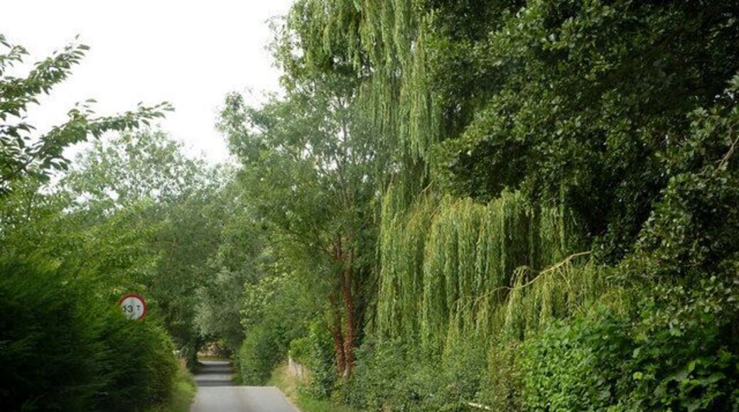Mill Lane The lane crosses the small river Deben at Kettleburgh. The bridge parapets can be seen beyond the weight restriction sign.