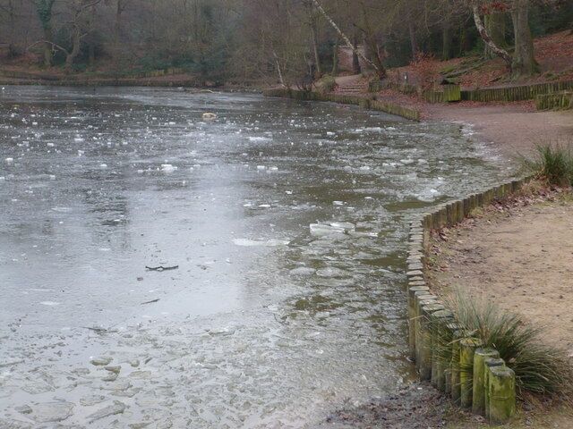 Keston Ponds Covered in chunks of ice on New Year's Day.