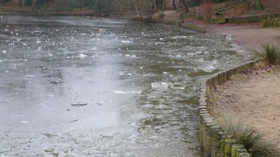 Keston Ponds Covered in chunks of ice on New Year's Day.