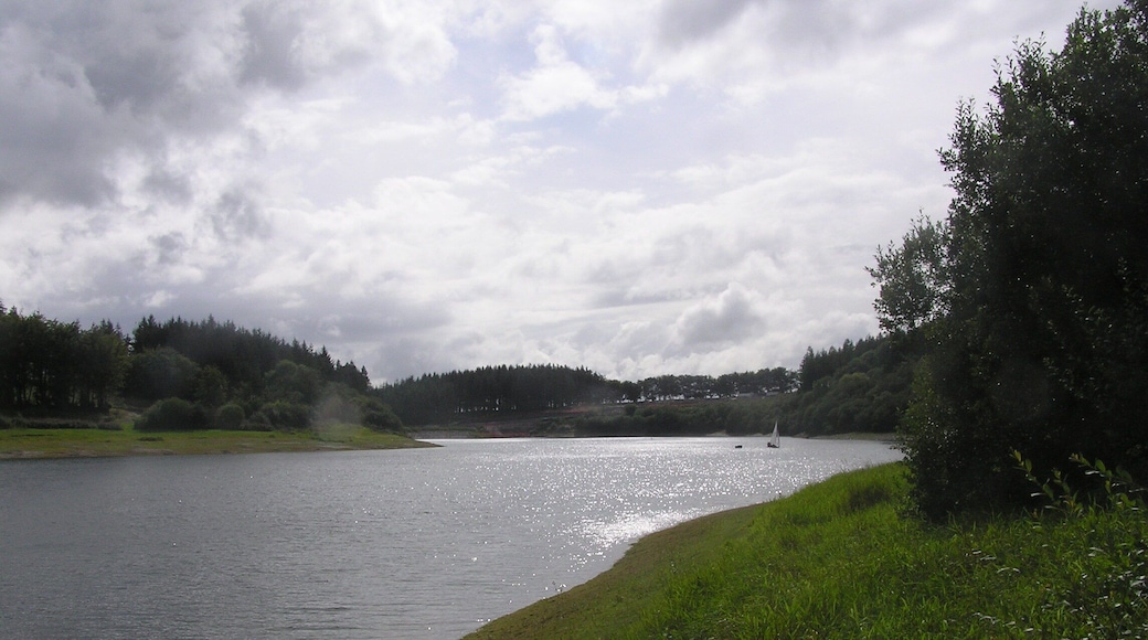 Wistlandpound Reservoir - August 2011