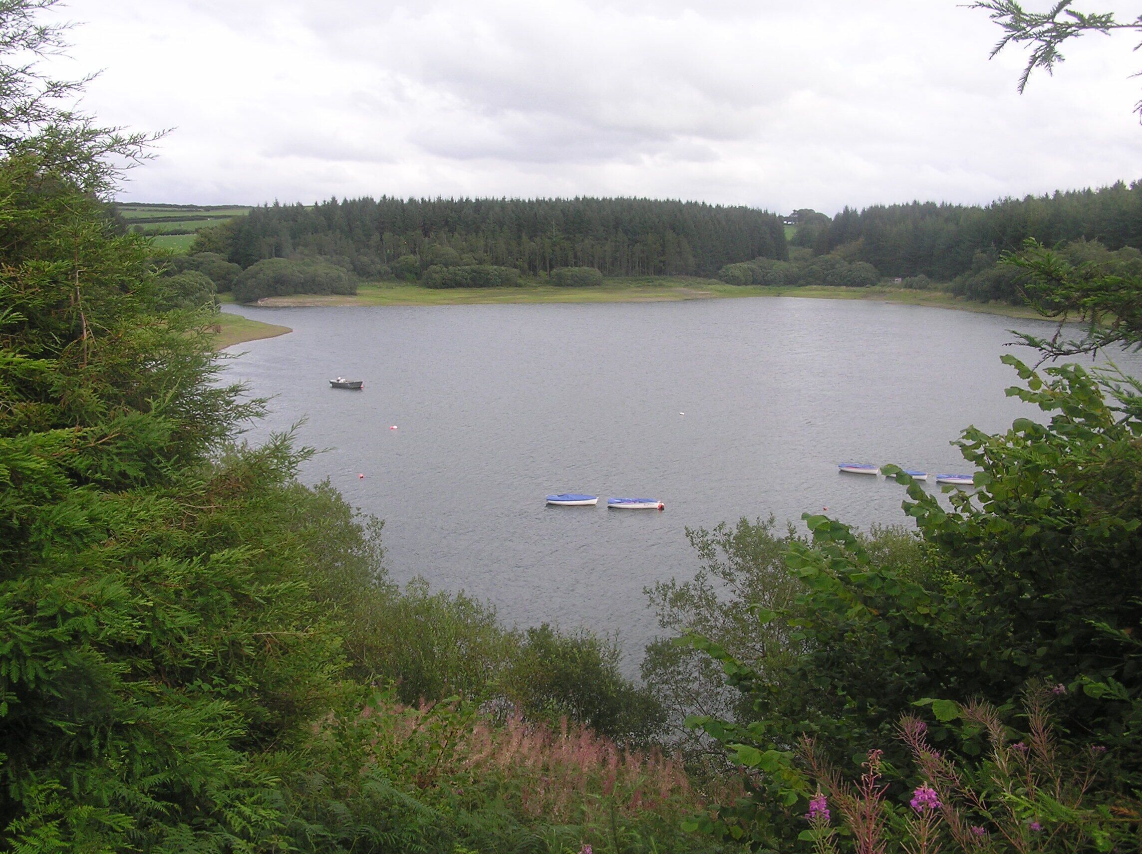 Wistlandpound Reservoir - August 2011