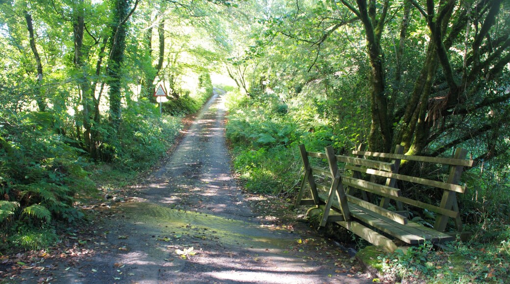 Ford at Dean. This ford is found on Dean Water at Dean.