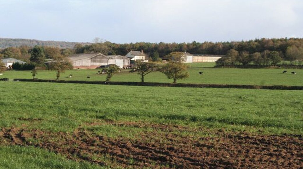 Kentisbeare: Aller Home Farm. Home of the Hazlyn herd of Friesians. The 1940s Ordnance Survey map shows woods in front of the farm; these have clearly been felled in the last 60 years