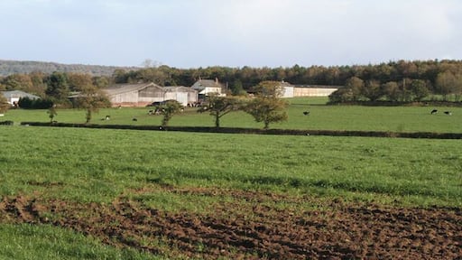 Kentisbeare: Aller Home Farm. Home of the Hazlyn herd of Friesians. The 1940s Ordnance Survey map shows woods in front of the farm; these have clearly been felled in the last 60 years