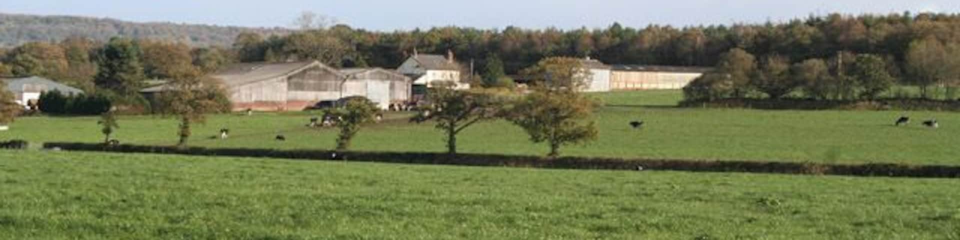 Kentisbeare: Aller Home Farm. Home of the Hazlyn herd of Friesians. The 1940s Ordnance Survey map shows woods in front of the farm; these have clearly been felled in the last 60 years