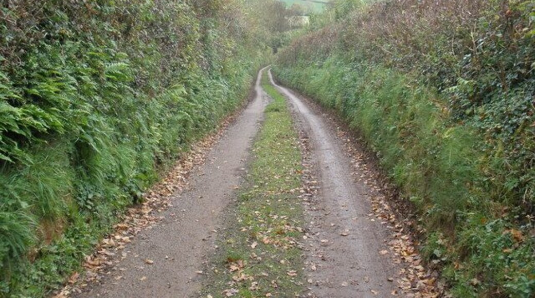Road to Mortimers Farm