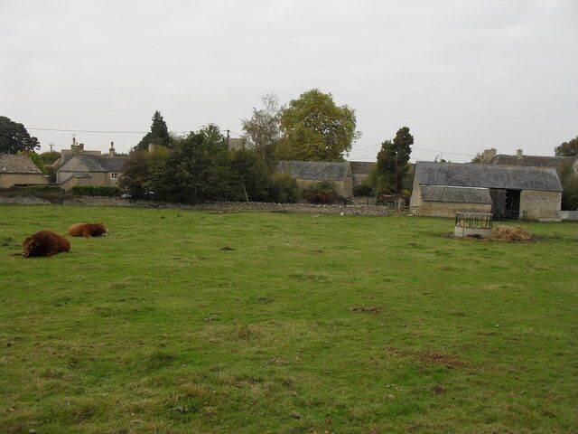 Field in Kencot With bull and cow.