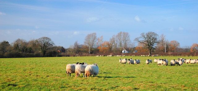 View across field to A54 View looking N across field to A54 from SJ5067
