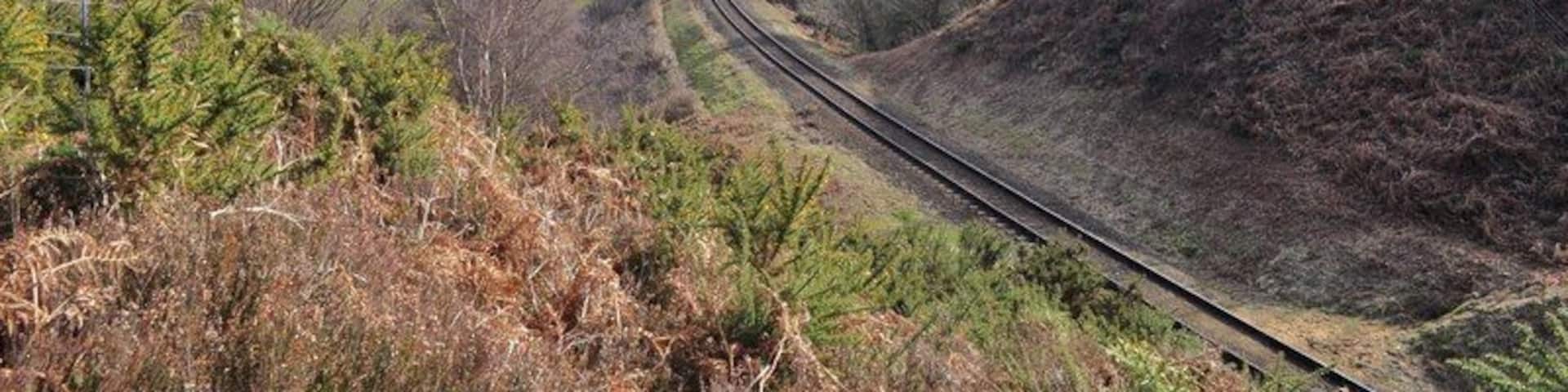 The North Norfolk Line from the North side of the cutting The large cutting here is one of the larger engineering hurdles on the line. Although there is only sand and gravel to dig it must have been a big job. I would imagine the cutting material went to built the large embankment that takes the line to Weybourne. Heather and Gorse can be seen, the sandy soils making Kelling Heath famous for rare plants and animals. This is where Michael Palin first saw the sea, from the train window when the line was still open. Please Note this photo was taken on railway property, I was in possession of a line side pass issued by the railway. Going on the line side without one is trespassing.