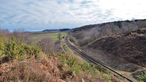 The North Norfolk Line from the North side of the cutting The large cutting here is one of the larger engineering hurdles on the line. Although there is only sand and gravel to dig it must have been a big job. I would imagine the cutting material went to built the large embankment that takes the line to Weybourne. Heather and Gorse can be seen, the sandy soils making Kelling Heath famous for rare plants and animals. This is where Michael Palin first saw the sea, from the train window when the line was still open. Please Note this photo was taken on railway property, I was in possession of a line side pass issued by the railway. Going on the line side without one is trespassing.