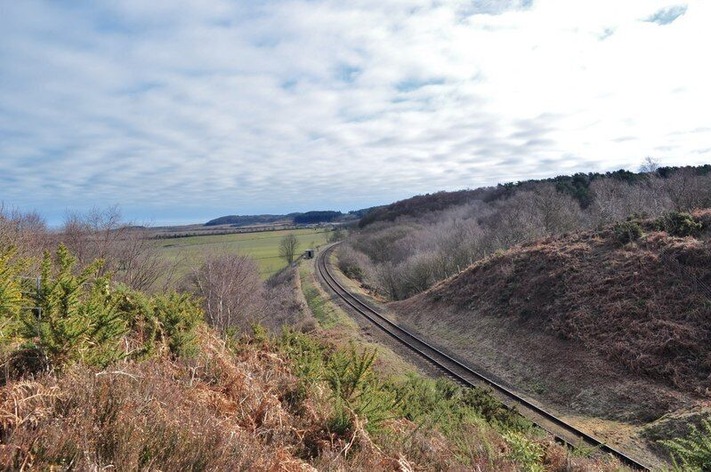The North Norfolk Line from the North side of the cutting The large cutting here is one of the larger engineering hurdles on the line. Although there is only sand and gravel to dig it must have been a big job. I would imagine the cutting material went to built the large embankment that takes the line to Weybourne. Heather and Gorse can be seen, the sandy soils making Kelling Heath famous for rare plants and animals. This is where Michael Palin first saw the sea, from the train window when the line was still open. Please Note this photo was taken on railway property, I was in possession of a line side pass issued by the railway. Going on the line side without one is trespassing.