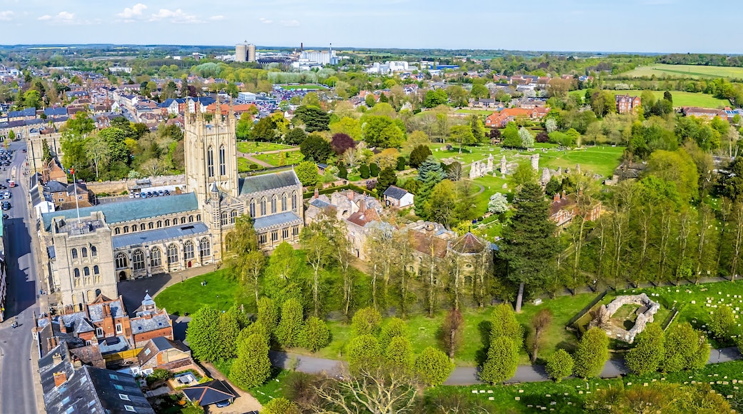 A historic cathedral, a cemetery, and surrounding residential areas.