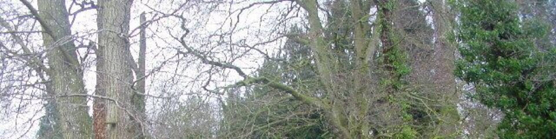 Wharton Bridge across the River Ive at Ivegill, Cumbria