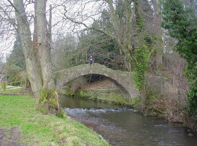 A stone bridge over a narrow stream, surrounded by trees and greenery.