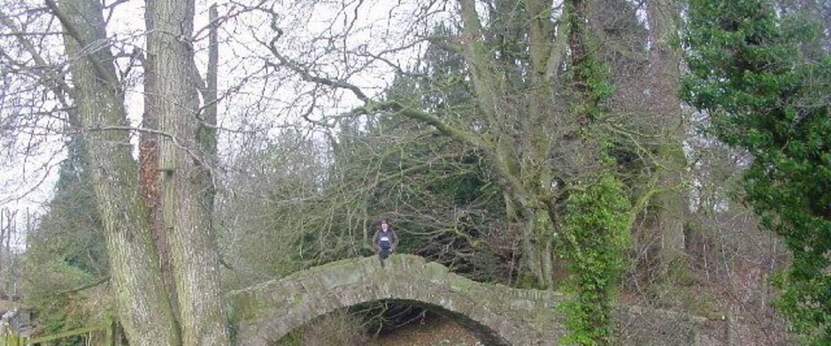 A stone bridge over a narrow stream, surrounded by trees and greenery.