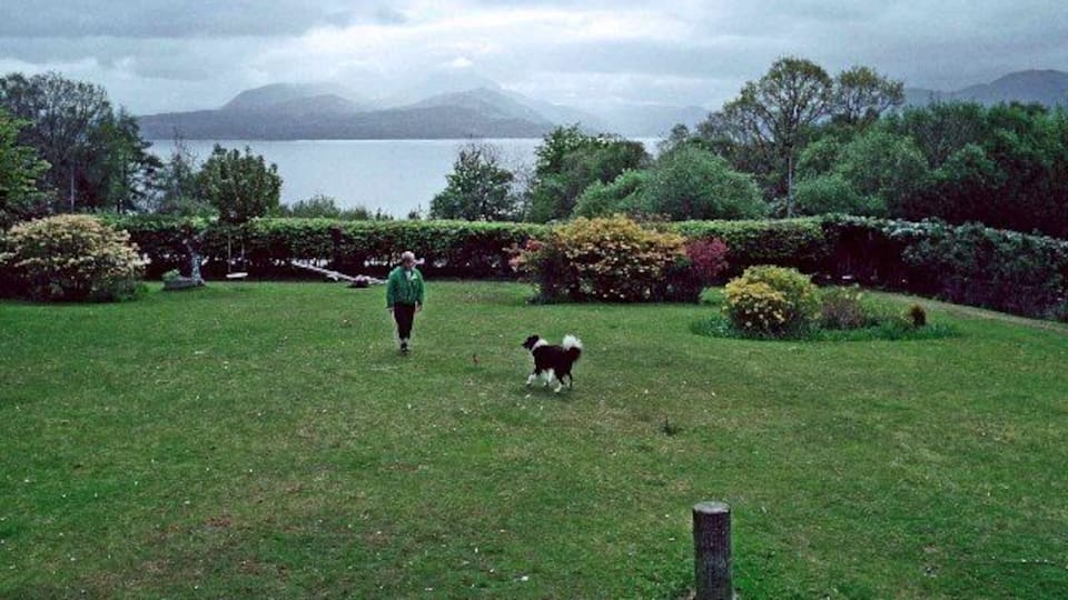 Een grasveld met een persoon en een hond, omringd door struiken en bomen, met een meer en bergen op de achtergrond.