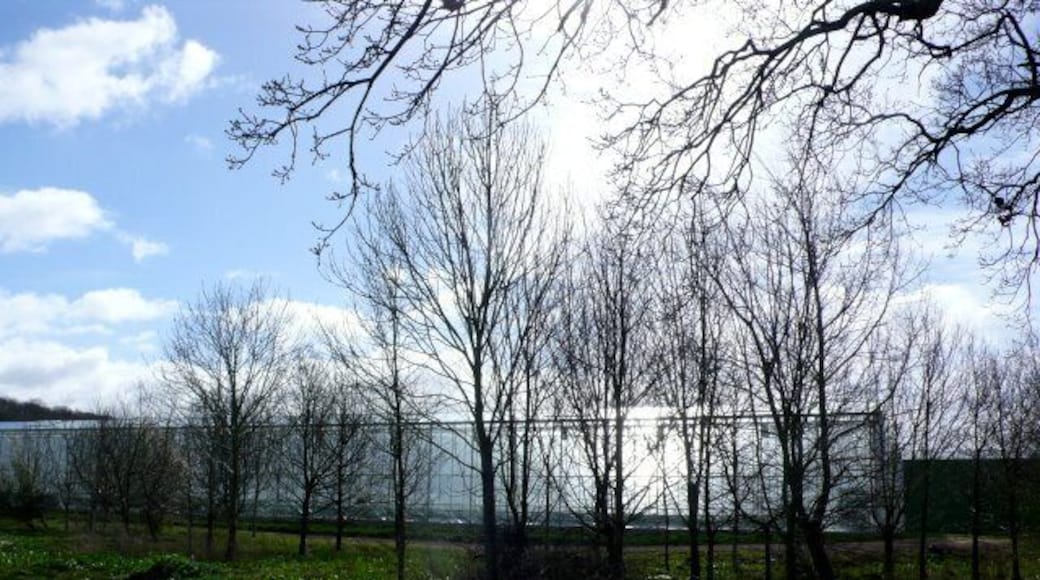 Polythene Greenhouses at North Bradon Farm The farm is part of the Cantelo Nurseries Group whose main business is fruit and vegetable growers, particularly tomatoes.