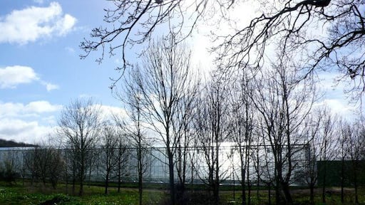 Polythene Greenhouses at North Bradon Farm The farm is part of the Cantelo Nurseries Group whose main business is fruit and vegetable growers, particularly tomatoes.