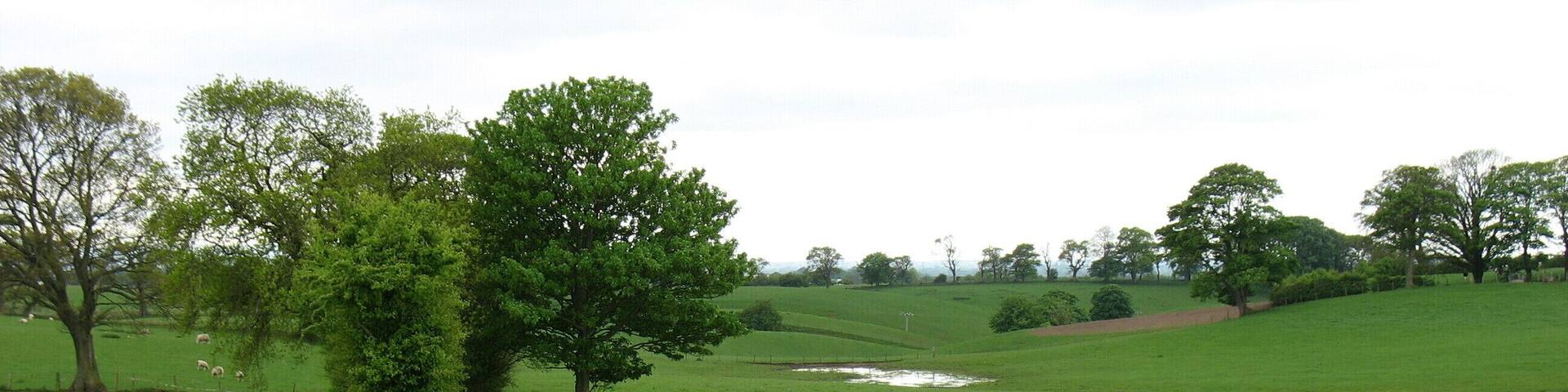 The Hadrian's Wall Path leaving Newtown