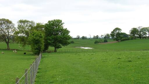 The Hadrian's Wall Path leaving Newtown