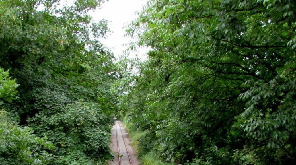 Single-track railway west of Nibley Lane near Iron Acton, viewed from Robin Hood Overbridge. Shown on maps as Mineral Railway, this line is part of the old Thornbury branch line that has been retained to serve Tytherington Quarry.