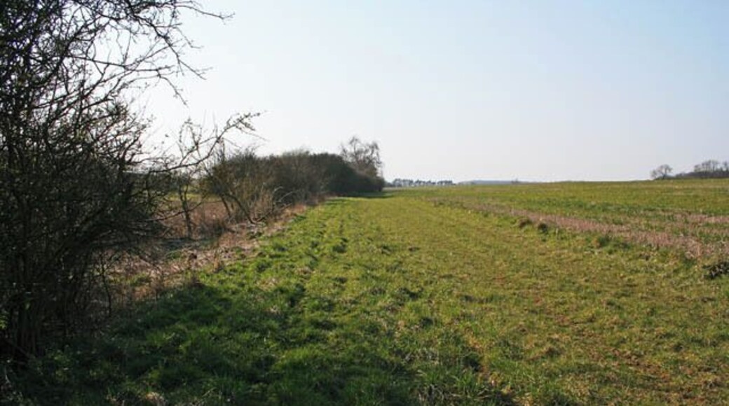 DEFRA conservation walk near Irnham:1 The Department for the Environment, Food and Rural Affairs (DEFRA) sponsors the creation of conservation walks to expand public access to the countryside. Often these walks digress from established rights of way but in this case the circular walk linking Irnham and Corby Glen follows the public footpaths and bridleways. The 1:50,000 OS map shows the footpath following the southerly bank of the stream and the 1:25,000 isn't much clearer. The DEFRA map on the sign at the access point here clearly shows the path following the north bank along this wide field margin.
