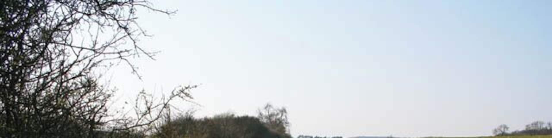 DEFRA conservation walk near Irnham:1 The Department for the Environment, Food and Rural Affairs (DEFRA) sponsors the creation of conservation walks to expand public access to the countryside. Often these walks digress from established rights of way but in this case the circular walk linking Irnham and Corby Glen follows the public footpaths and bridleways. The 1:50,000 OS map shows the footpath following the southerly bank of the stream and the 1:25,000 isn't much clearer. The DEFRA map on the sign at the access point here clearly shows the path following the north bank along this wide field margin.