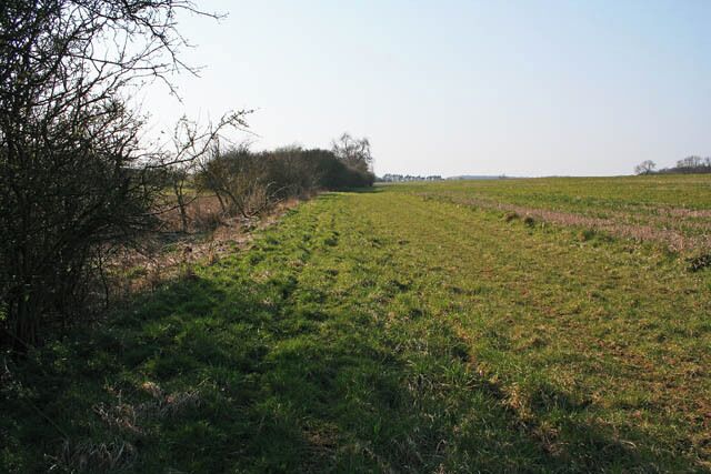 A grassy field with a tree line and distant trees.