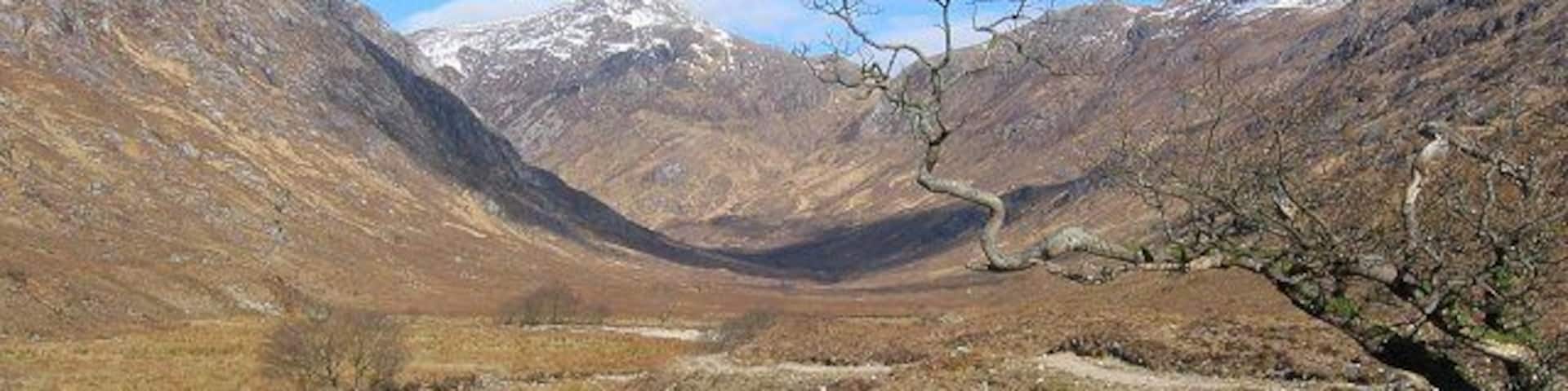 Coire an Iubhair. Infamously boggy glen under Garbh Bheinn, its also one of the most rugged and exciting glens in the country,with vast areas of exposed rock. Beinn Bheag beyond the gnarley tree. This was a set used in the Rob Roy film. Mind he was known for wandering far from Loch Katrine.