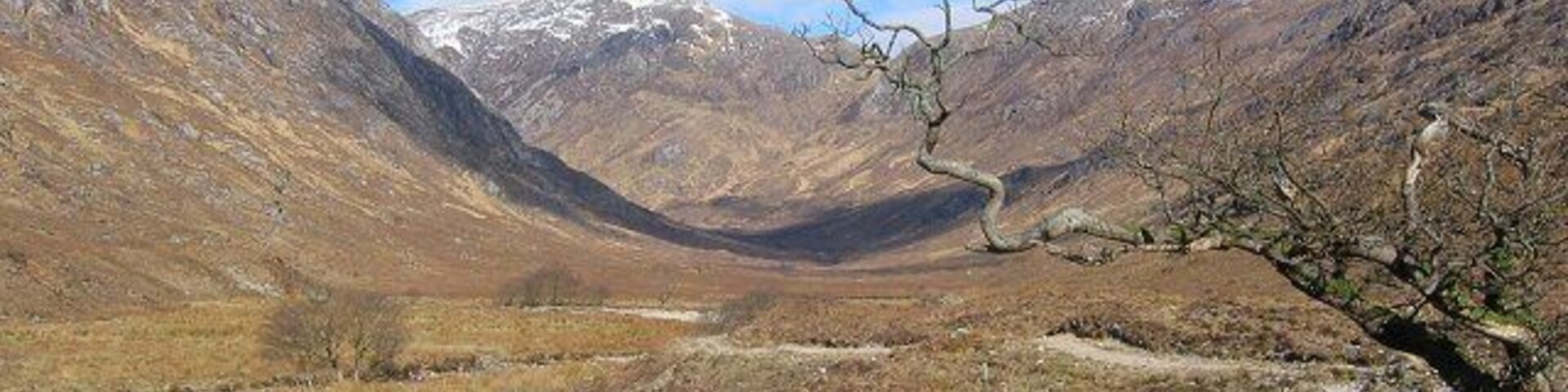 Coire an Iubhair. Infamously boggy glen under Garbh Bheinn, its also one of the most rugged and exciting glens in the country,with vast areas of exposed rock. Beinn Bheag beyond the gnarley tree. This was a set used in the Rob Roy film. Mind he was known for wandering far from Loch Katrine.