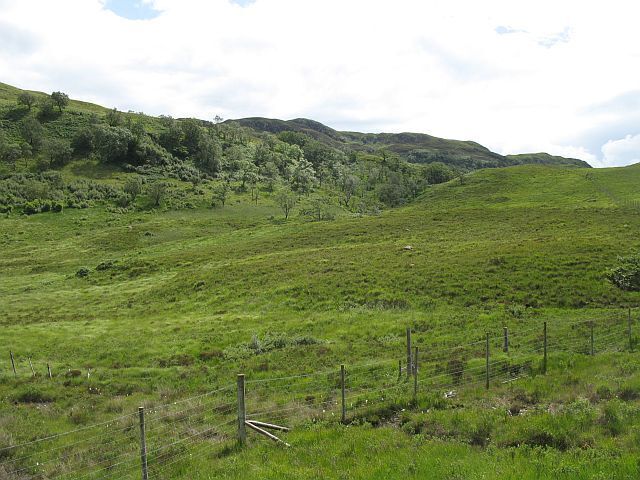 Tom Buidhe Birchwoods on Tom Buidhe.