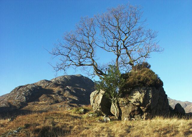 View northwest from Glen Tarbert towards Garbh Bheinn.