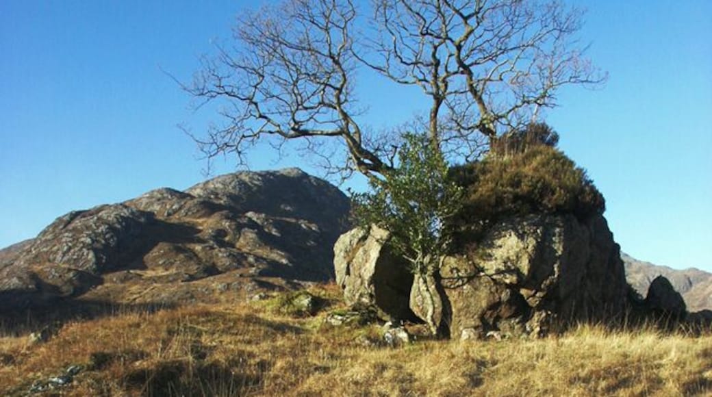 View northwest from Glen Tarbert towards Garbh Bheinn.