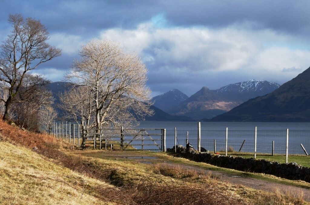 A lake with mountains in the background, a wooden gate, and leafless trees.