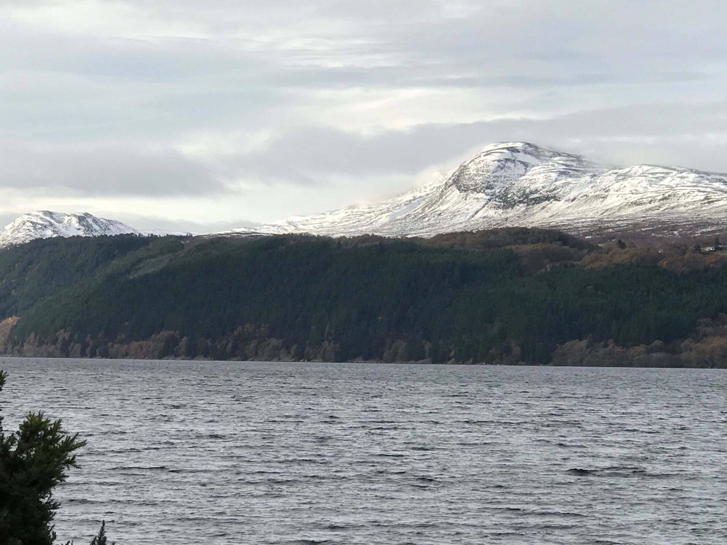 A mountain with snow-covered peaks and a forested slope.