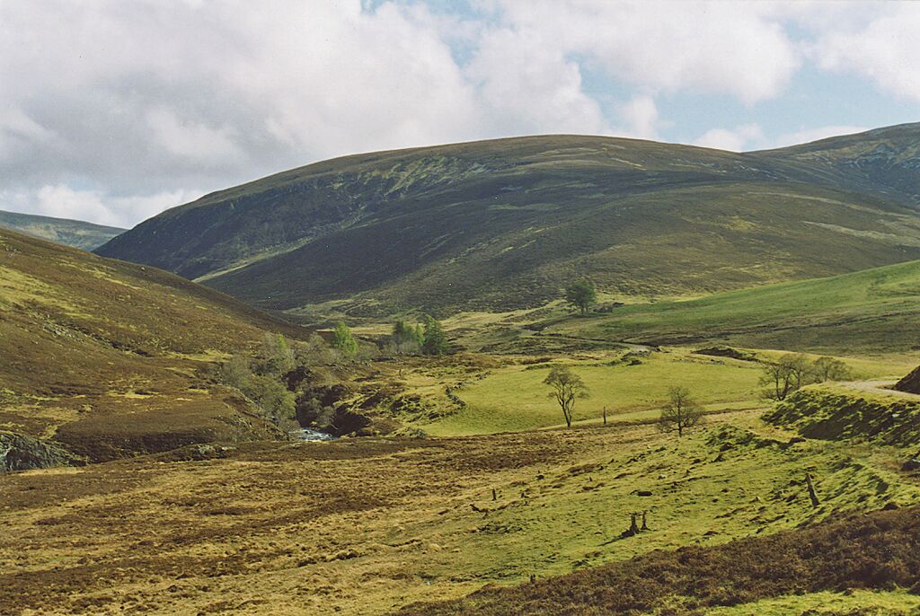 A valley with rolling hills, a small stream, and scattered trees.