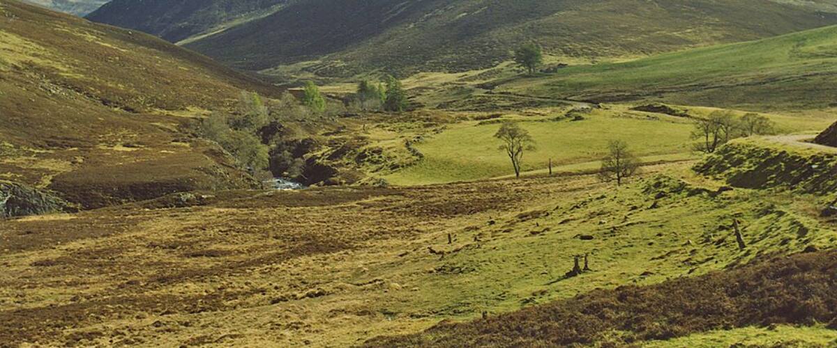 A valley with rolling hills, a small stream, and scattered trees.