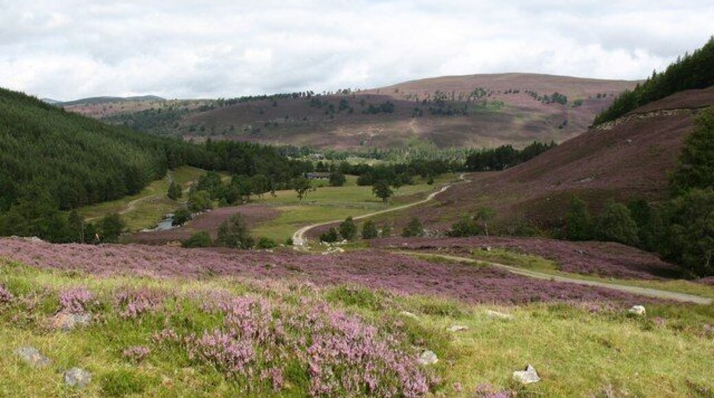 Towards the mouth of the glen Looking north towards the mouth of Glen Ey with Creag Bhaig beyond.