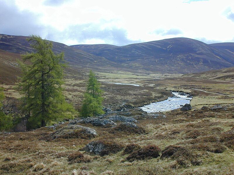 Glen Ey Looking up the glen from near Auchelie.