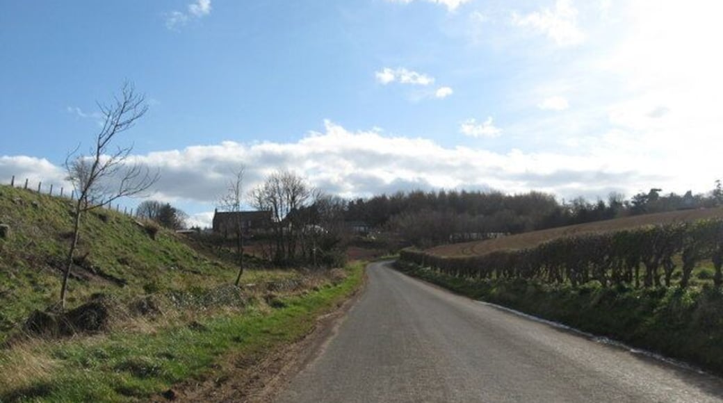 Country road at Old Branxton