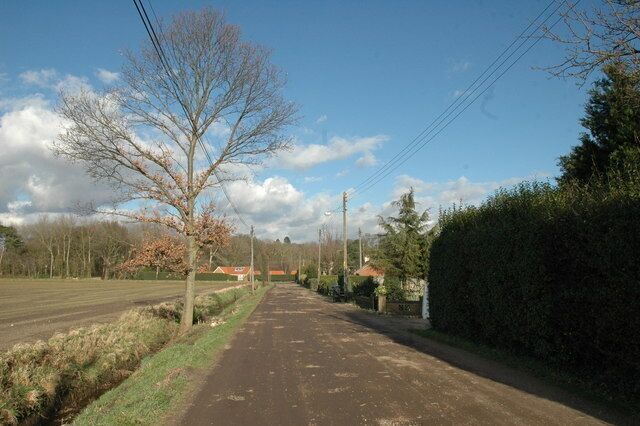Sandy Lane, Ingoldisthorpe. Looking North East along Sandy Lane, the older part of the village is behind the trees in the background.