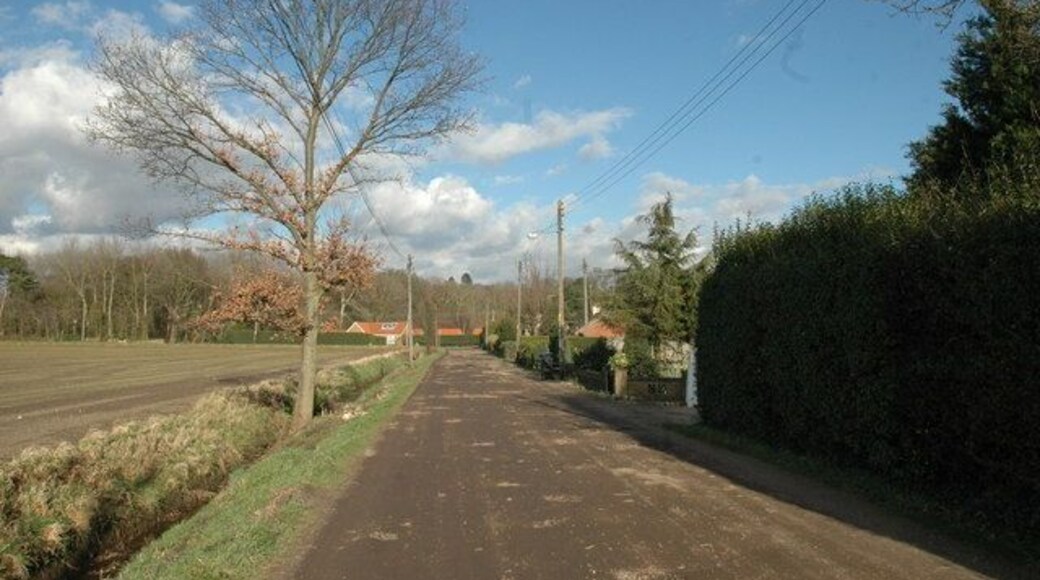 Sandy Lane, Ingoldisthorpe. Looking North East along Sandy Lane, the older part of the village is behind the trees in the background.