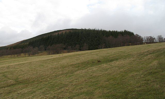 Balnaboth Craig One field and then a wooded hill in Glen Prosen.