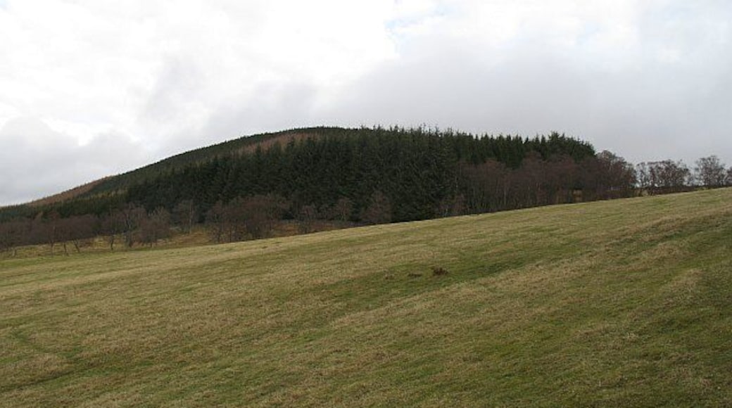 Balnaboth Craig One field and then a wooded hill in Glen Prosen.