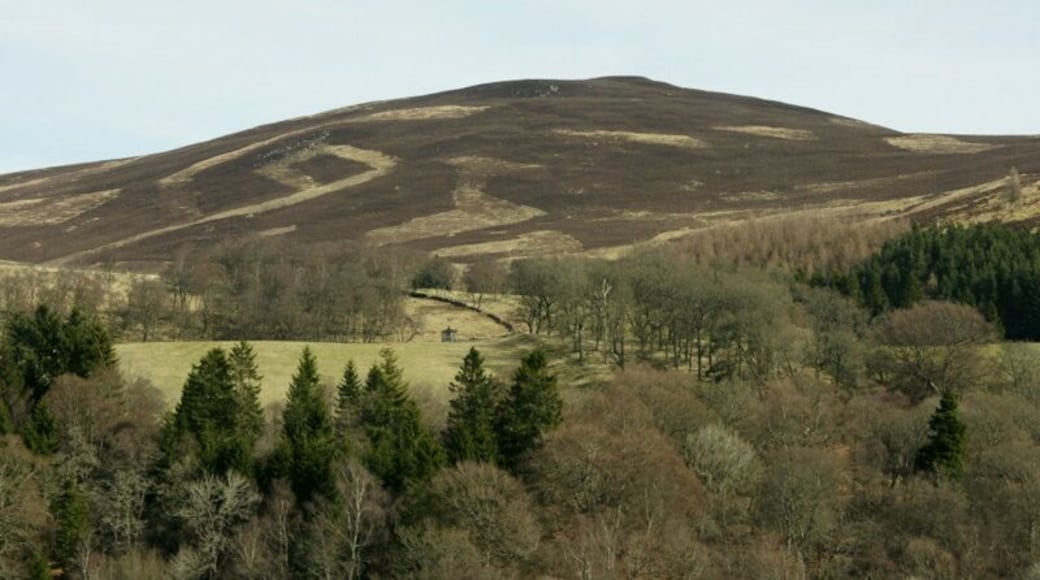 View towards Knachly Looking across Glen Prosen above Glenprosen village towards the hill of Knachly.