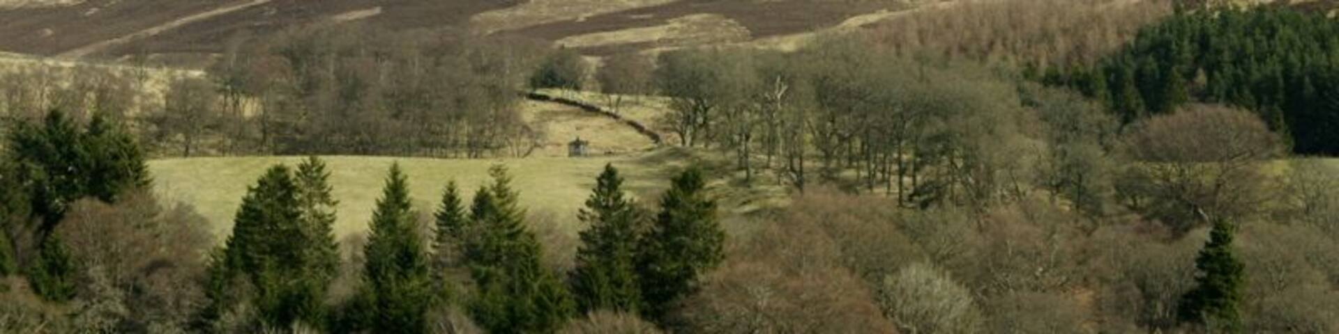 View towards Knachly Looking across Glen Prosen above Glenprosen village towards the hill of Knachly.