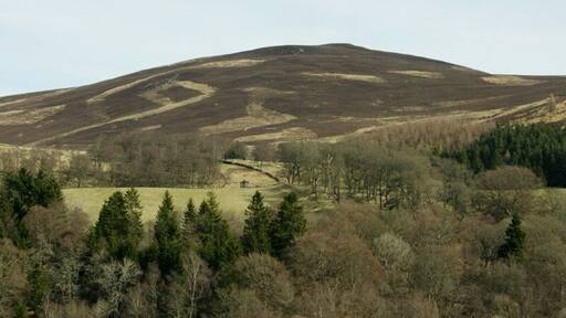 View towards Knachly Looking across Glen Prosen above Glenprosen village towards the hill of Knachly.